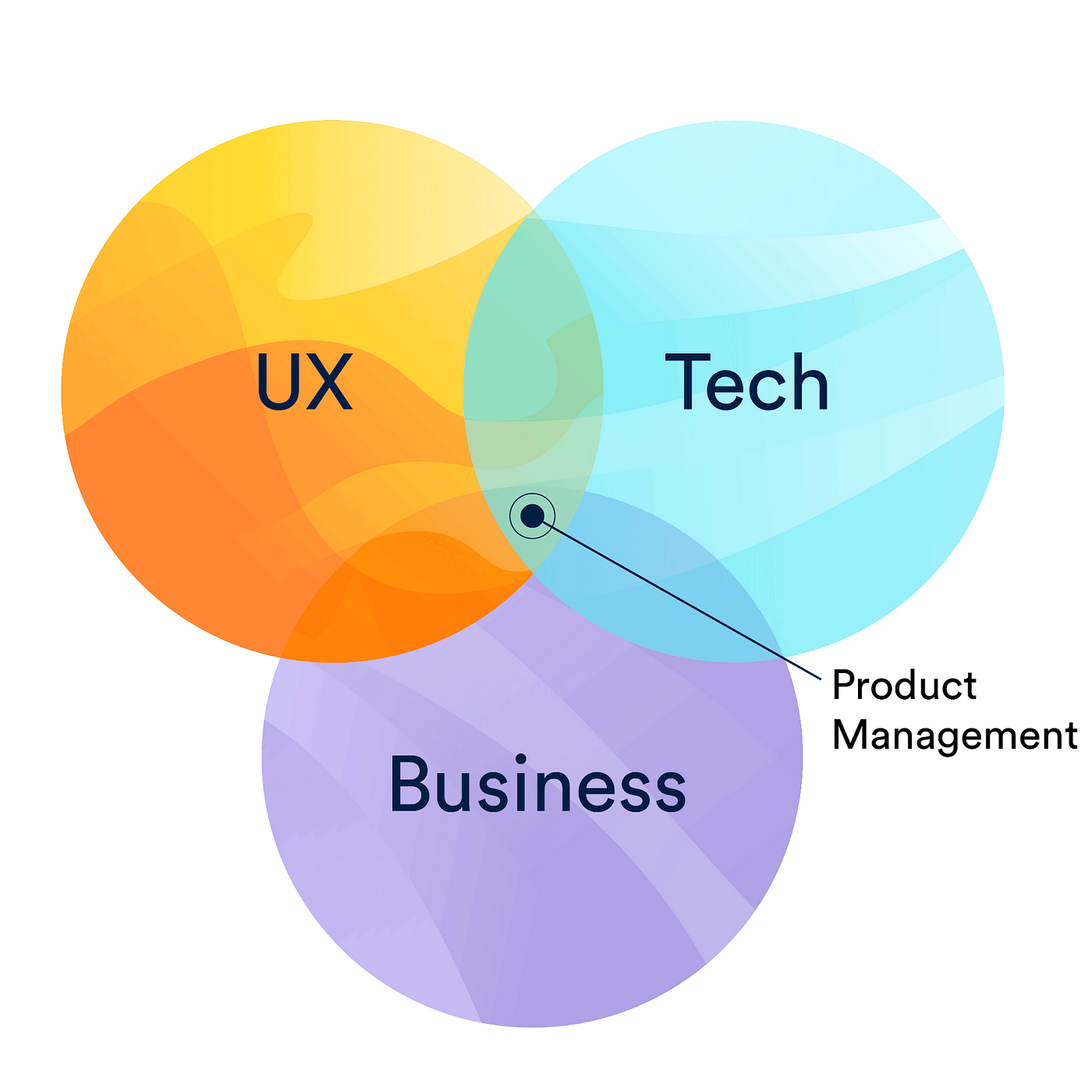 From Novice to Pro: A Comprehensive Guide to Product Management